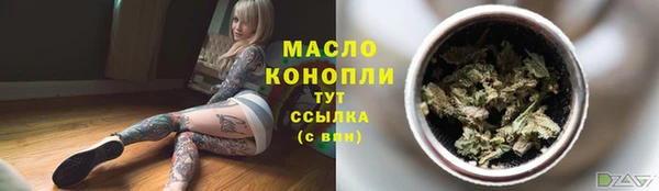 гашик Мегион
