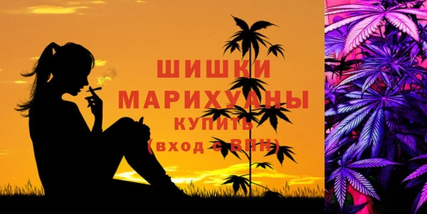гашик Мегион