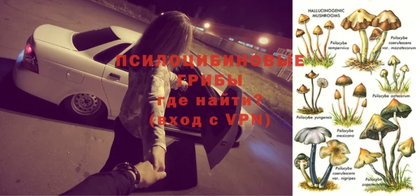 гашик Мегион