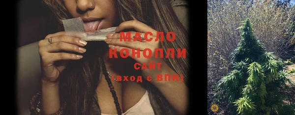 гашик Мегион