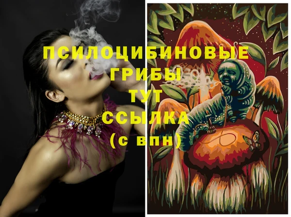 дурь Медвежьегорск