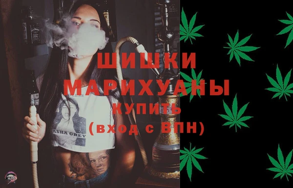 гашик Мегион