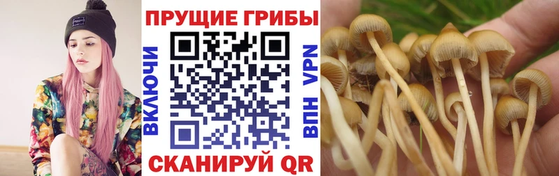 Псилоцибиновые грибы GOLDEN TEACHER  купить закладку  Ува 